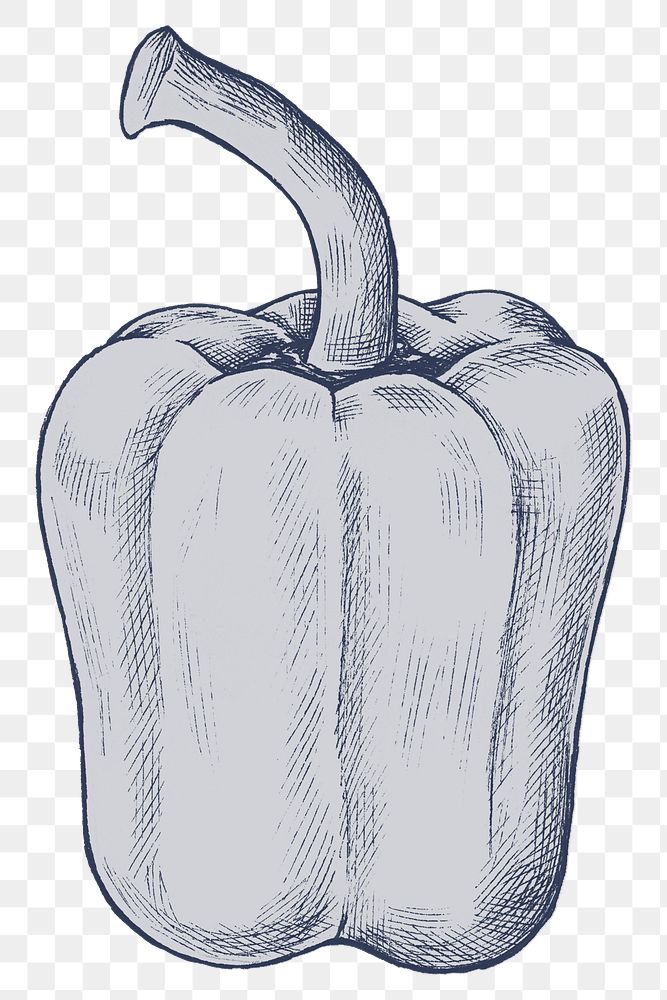 Png bell pepper illustration, transparent background