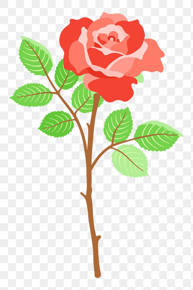 Red rose png clipart illustration, transparent background. Free public domain CC0 image.