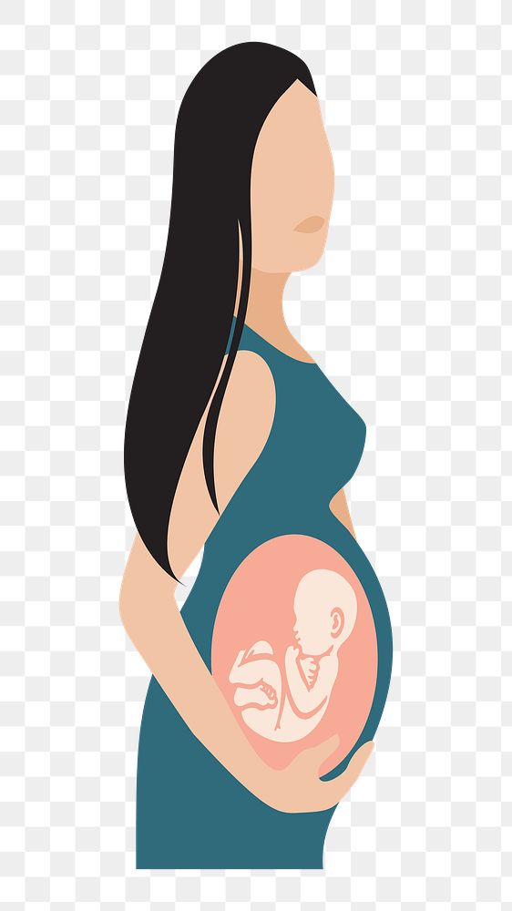 PNG Pregnant woman with see through belly illustration, transparent background