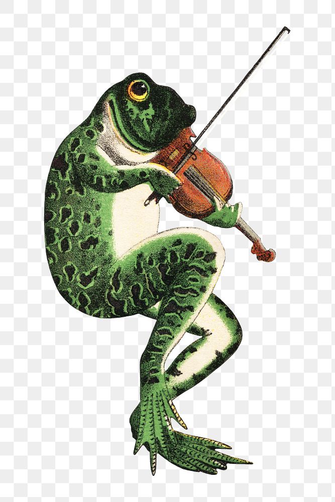 PNG frog playing violin vintage illustration on transparent background. Remixed by rawpixel. 