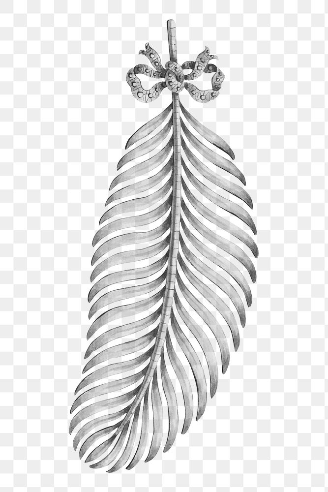 Vintage feather png drawing, transparent background. Remixed by rawpixel. 