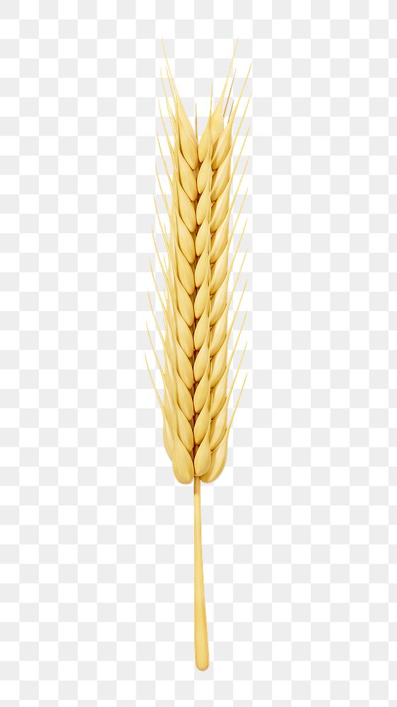 PNG 3D wheat branch, element illustration, transparent background