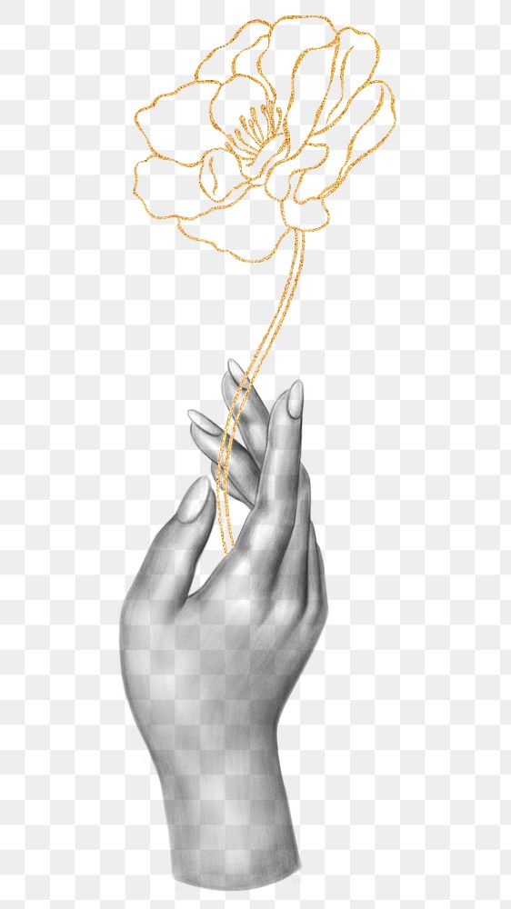 Png hand holding flower illustration, transparent background