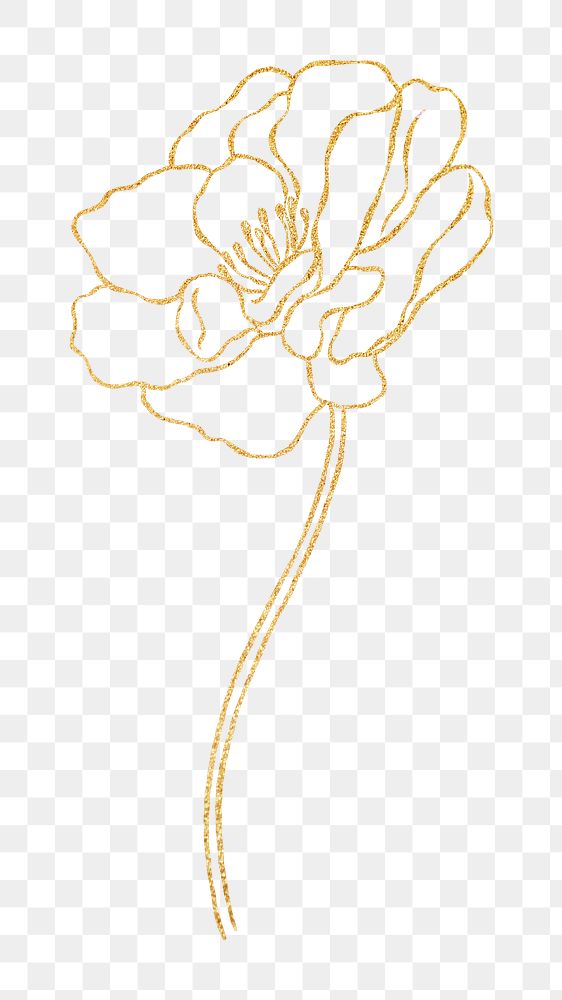 Png gold flower line art, transparent background