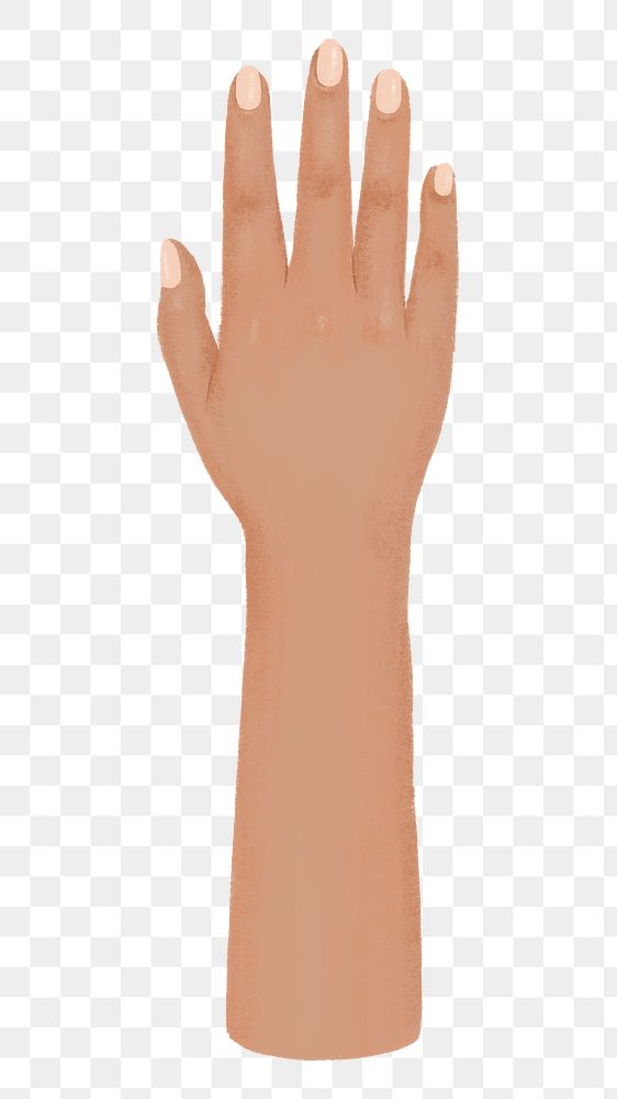 Woman's tanned png hand, gesture illustration, transparent background