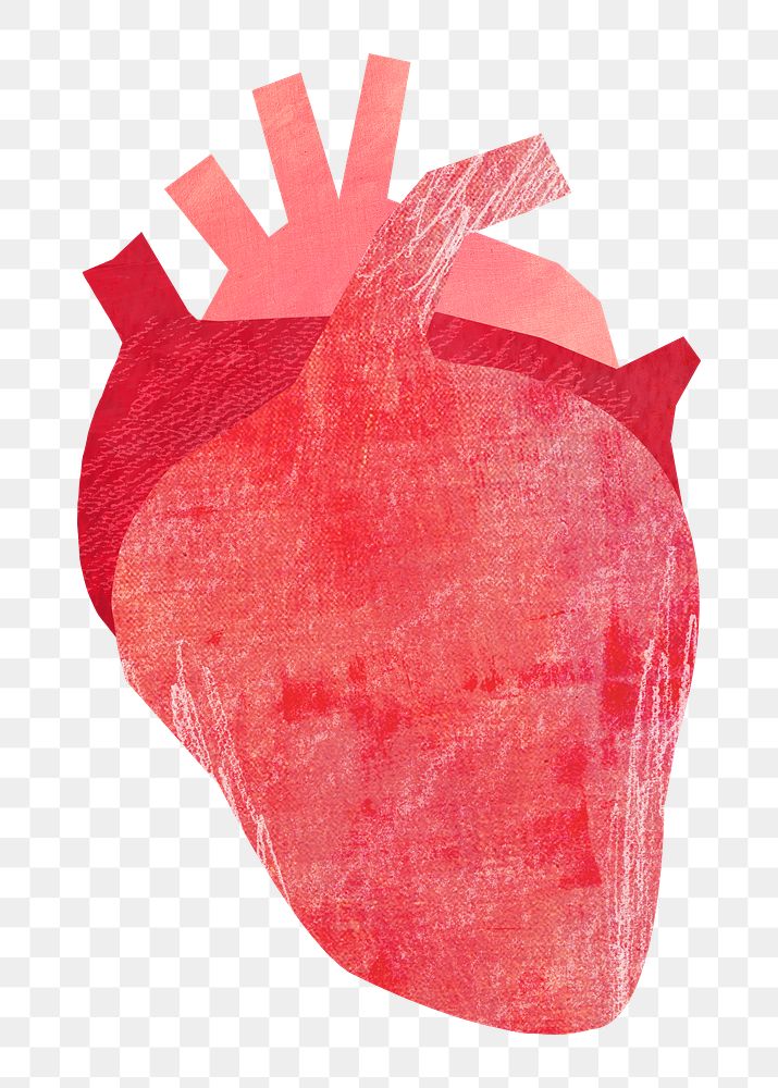 PNG Human heart, paper craft element, transparent background