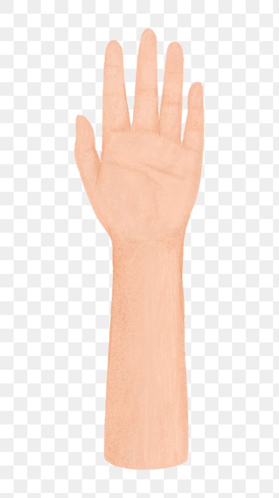 Man hand png, diversity illustration, transparent background