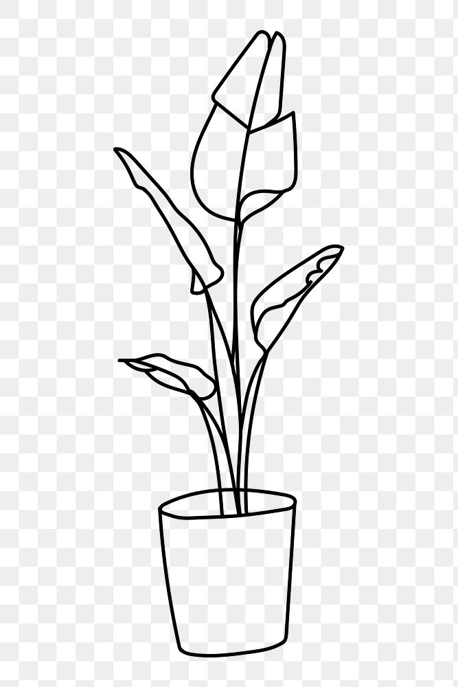 Houseplant png line art illustration, transparent background