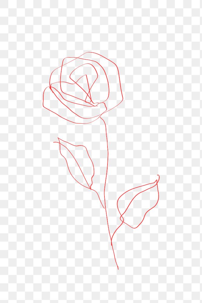 rose, red rose, flower, illustration