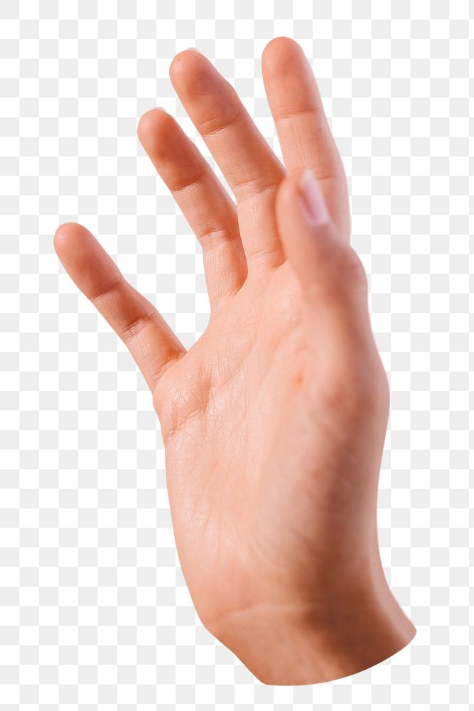 PNG Hand raising up in the air  transparent background