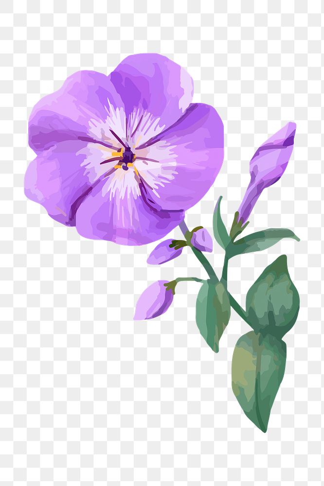 Purple phlox png watercolor flower, transparent background