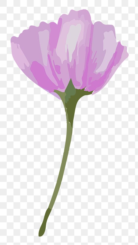 Purple poppy png watercolor flower, transparent background