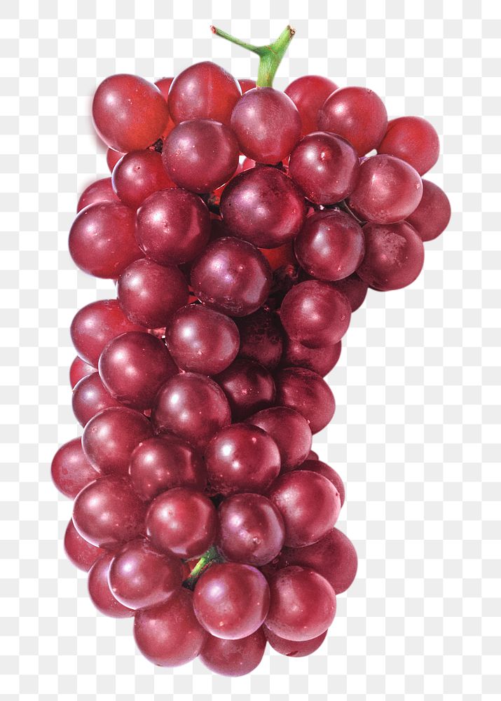 Red Grape png, food element, transparent background