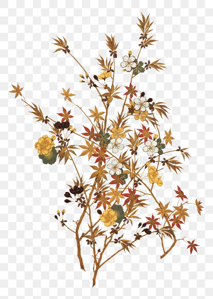 PNG Japanese Autumn flowers & tree, vintage botanical illustration, transparent background. Remixed by rawpixel.