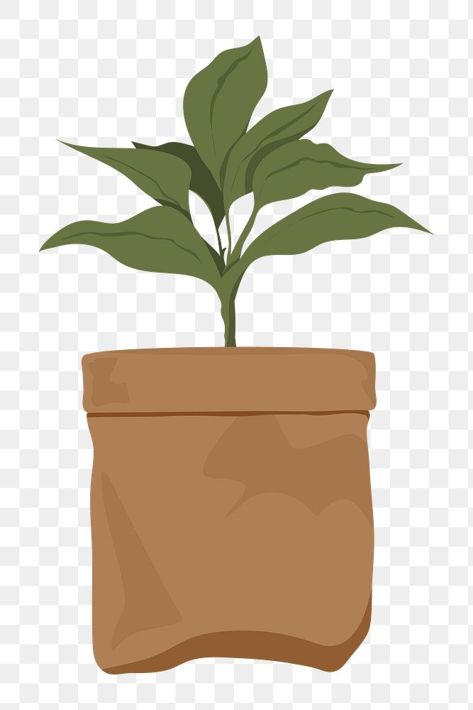 Paper bag png planter, transparent background