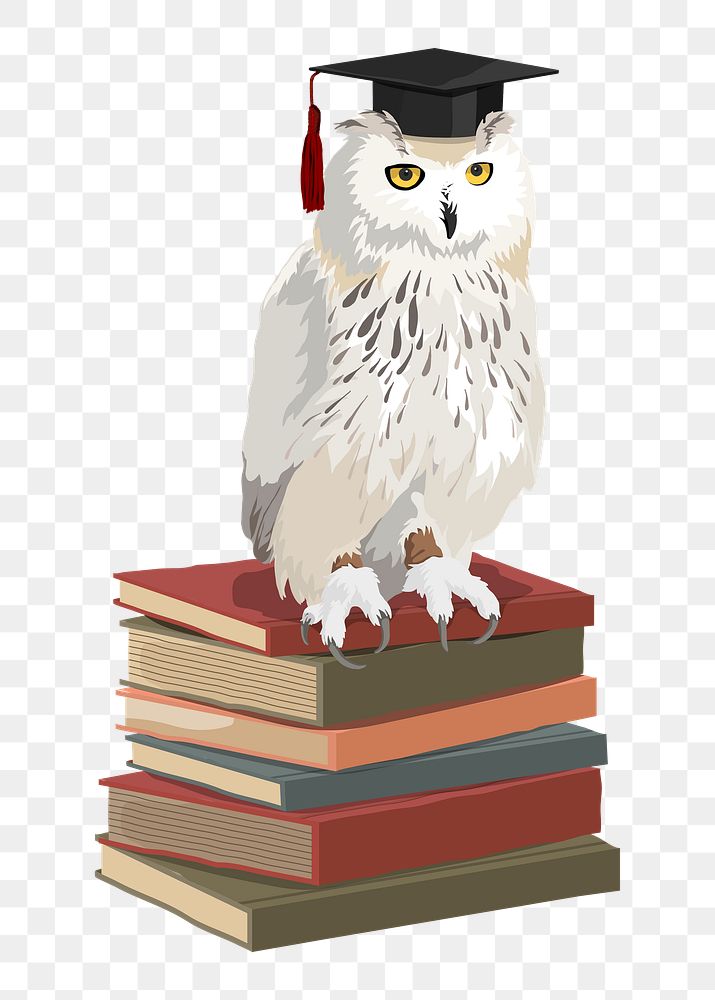  Graduation owl png, education transparent background
