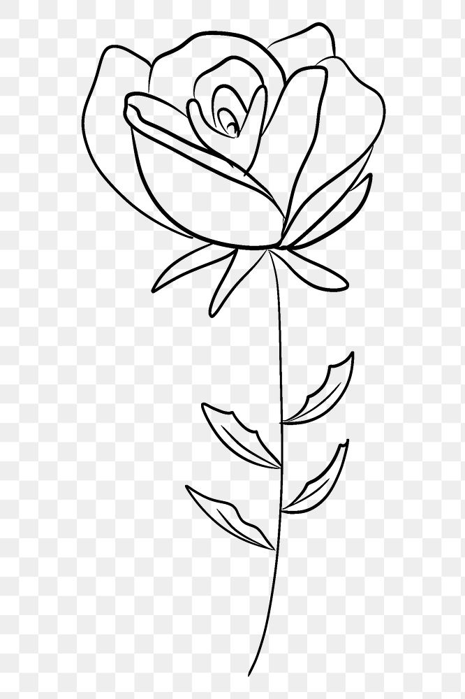 Rose png line art, transparent background