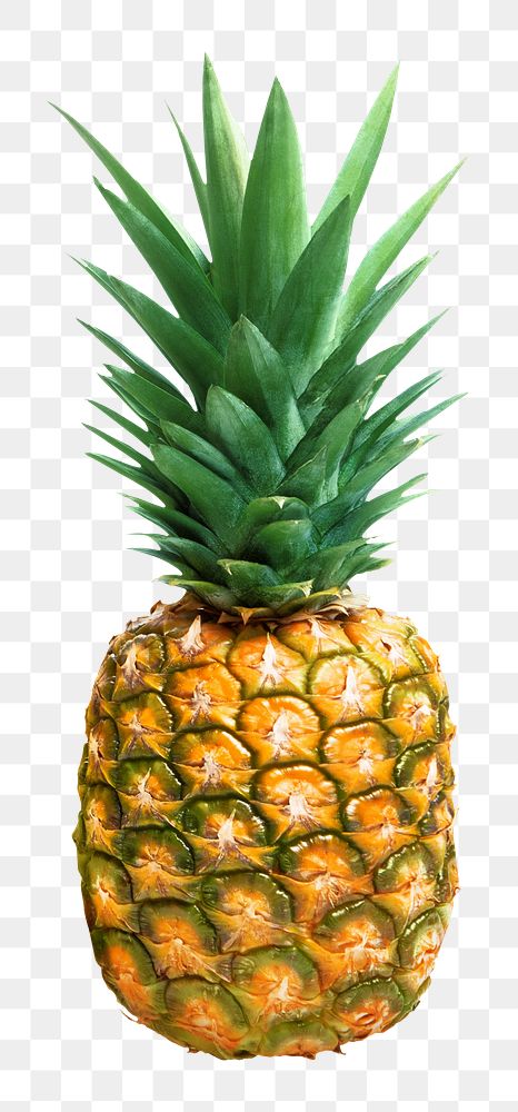 Tropical pineapple png, transparent background