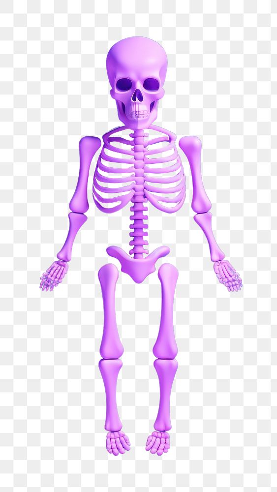 Skeleton biology science illness.  PNG with transparent background.