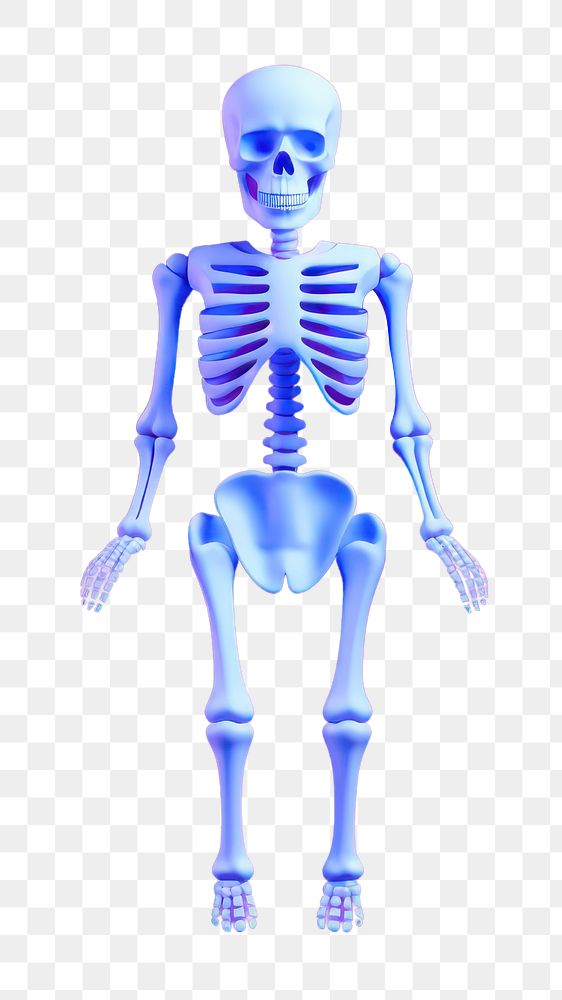 Fracture skeleton anatomy cartoon.  PNG with transparent background.