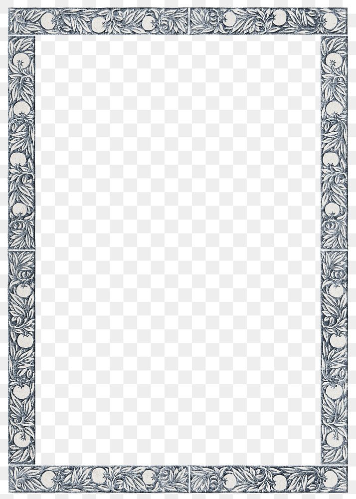 PNG Vintage botanical frame, transparent background