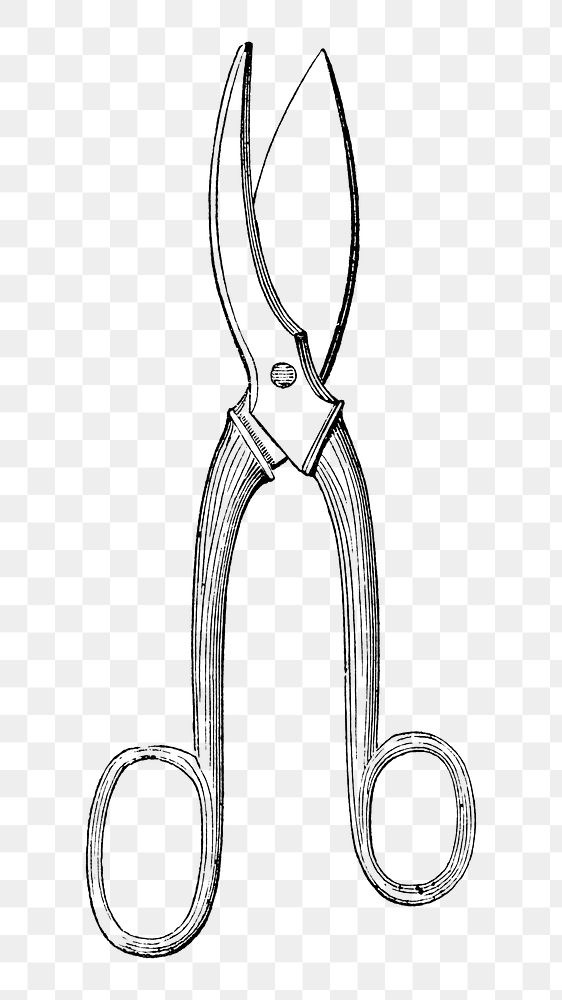 PNG Scissors, vintage gardening tool illustration on transparent background  by François-Frédéric Grobon. Remixed by…