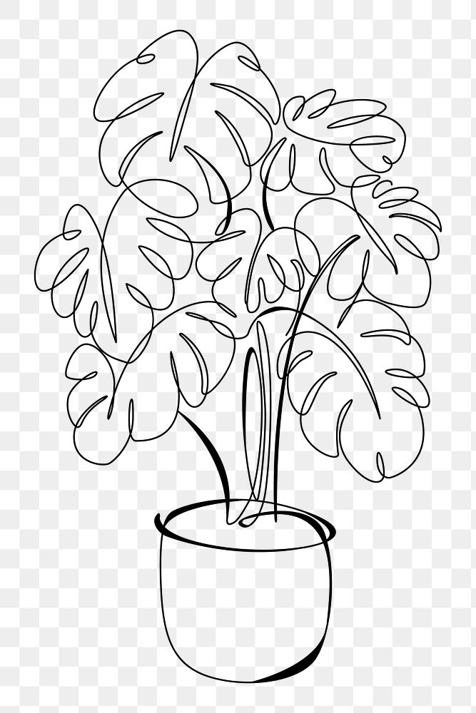 Monstera plant png, aesthetic illustration, transparent background