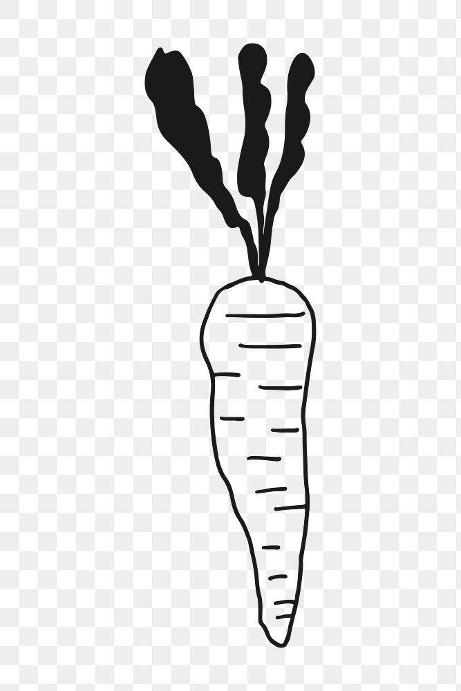 Carrot doodle png, aesthetic illustration, transparent background