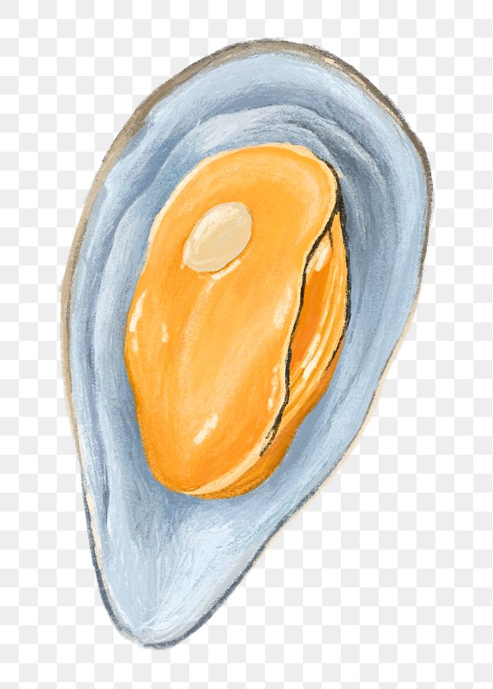 PNG Mussel, shellfish seafood illustration, transparent background