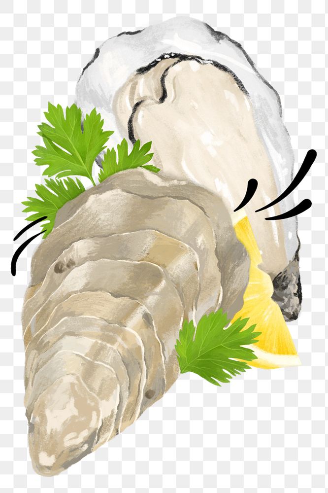 PNG Fresh oyster, seafood illustration, transparent background