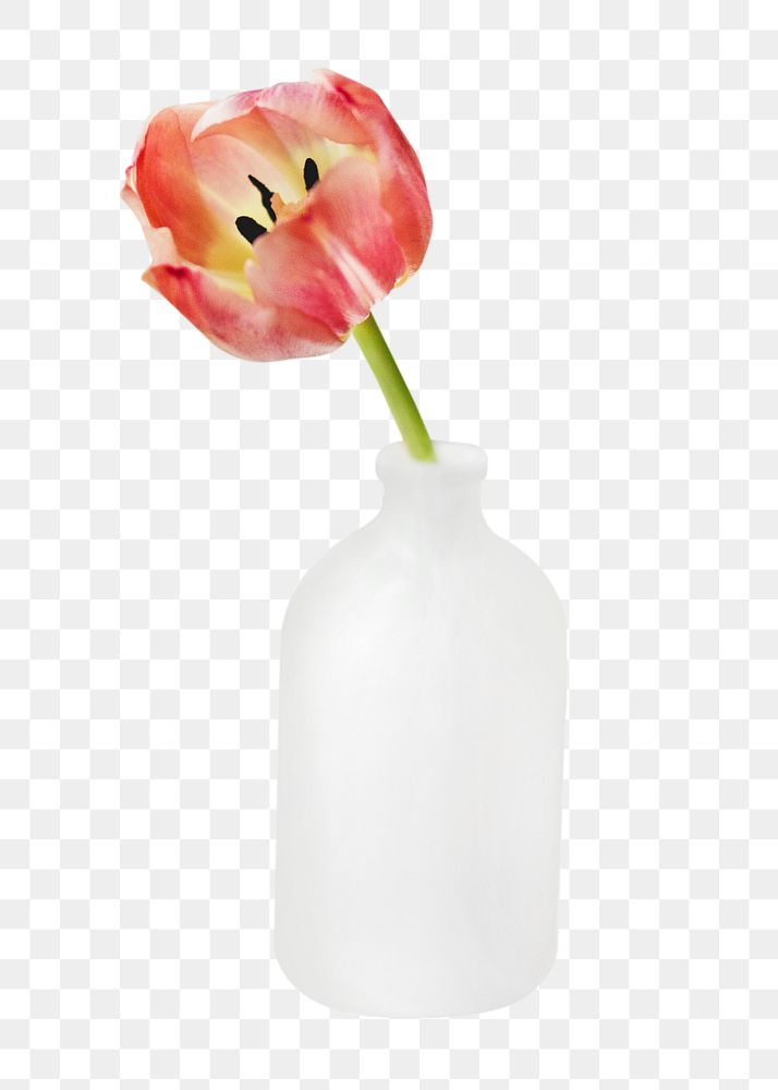 PNG flower vas tulip collage element, transparent background