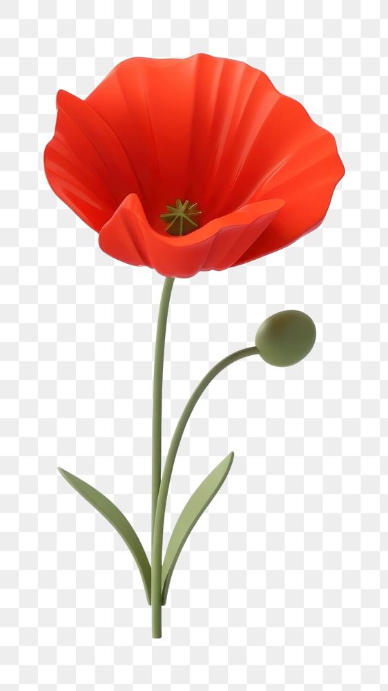 PNG Flower poppy plant white background. AI generated Image by rawpixel.