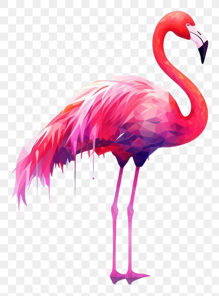 PNG Flamingo animal bird spoonbill. AI generated Image by rawpixel.