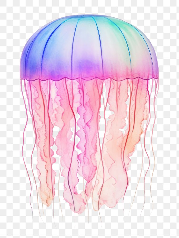 Png Jellyfish Invertebrate Transparent Underwater. 