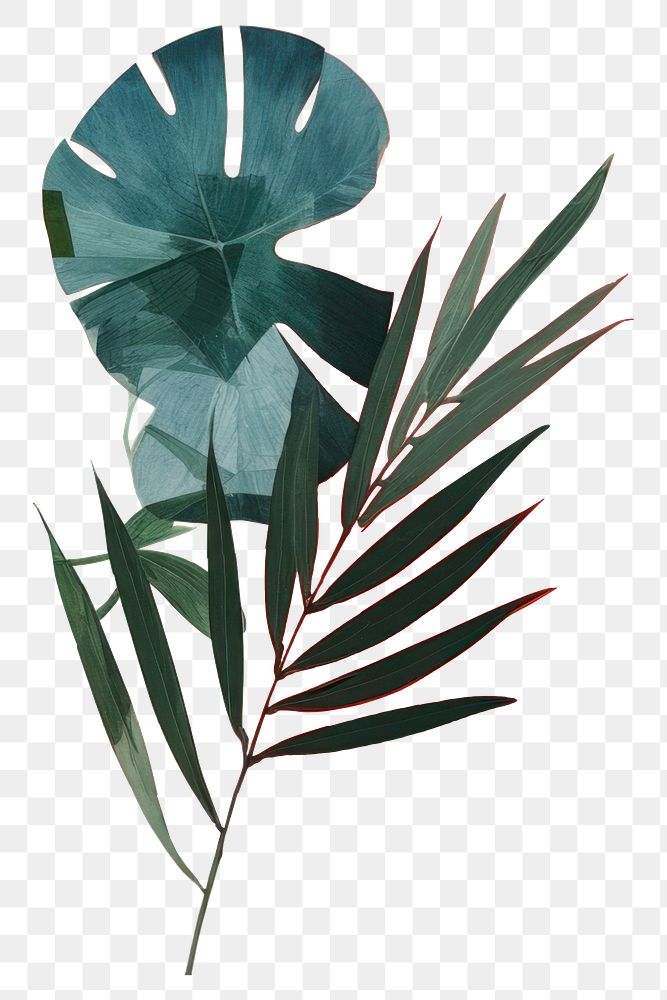 PNG Plant art painting collage. AI generated Image by rawpixel.