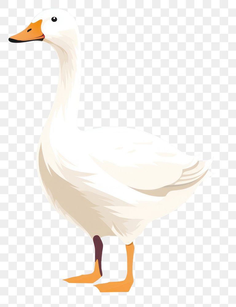 PNG Duck animal goose white. 