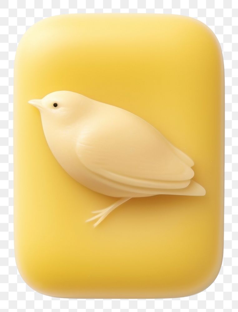 PNG Soap bird animal canary. AI generated Image by rawpixel.