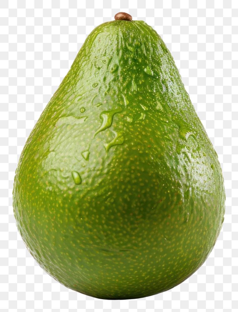 PNG Avocado fruit plant pear. 