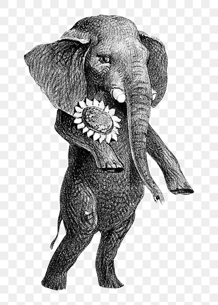 PNG Elephant standing with two feet, vintage animal illustration, transparent background. Remixed by rawpixel.