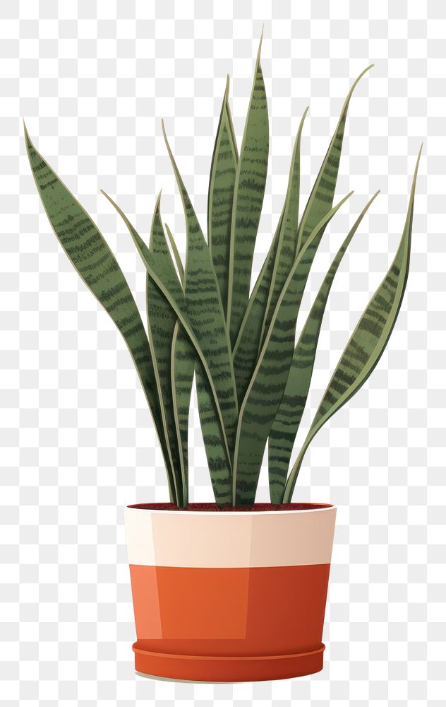 PNG Plant leaf houseplant flowerpot. AI generated Image by rawpixel.