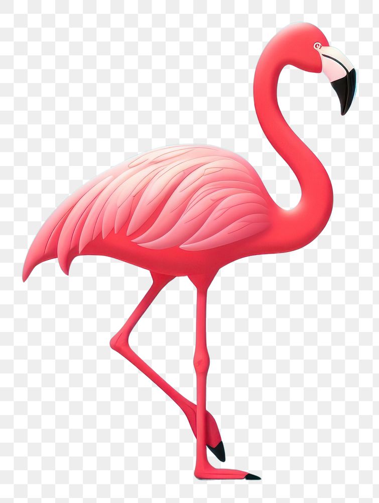 PNG Flamingo animal bird wildlife. 