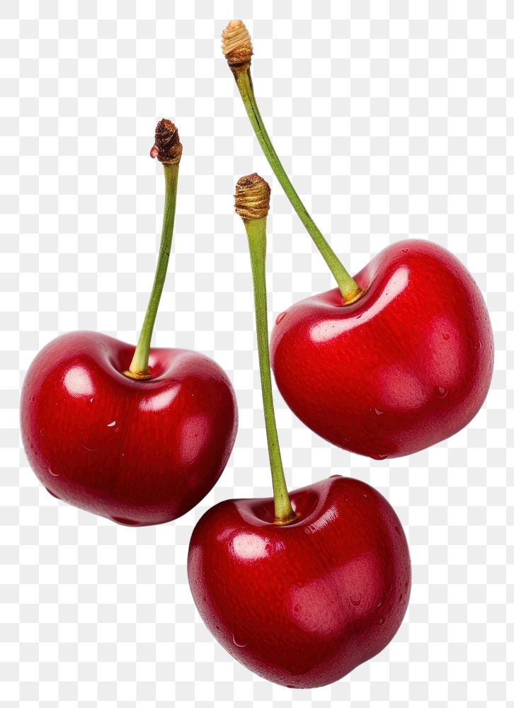 PNG Cherry fruit plant food. 