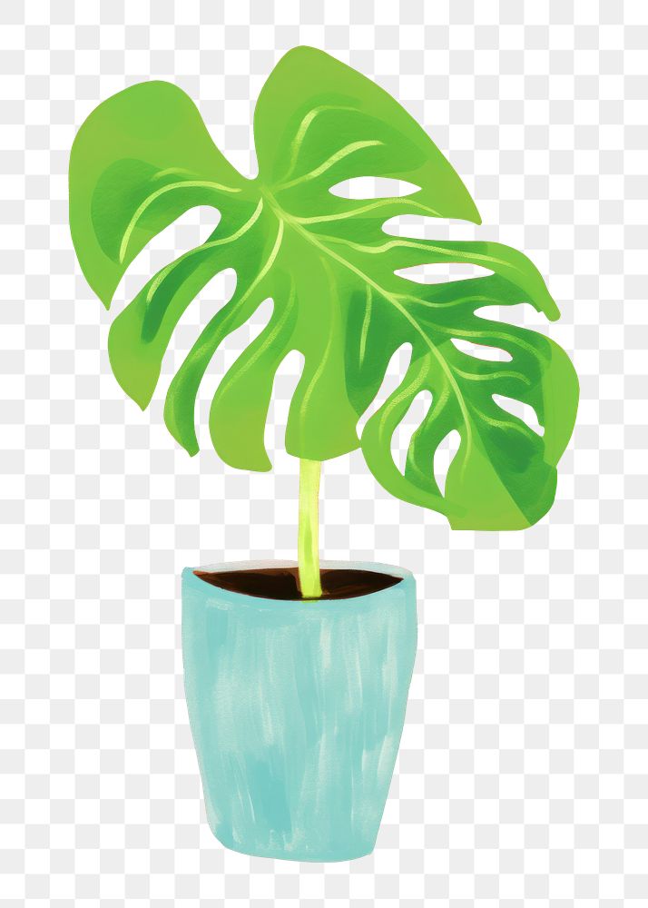 PNG Plant leaf houseplant freshness. 