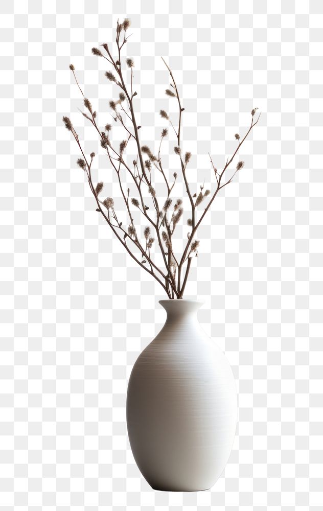 PNG Flower plant vase decoration