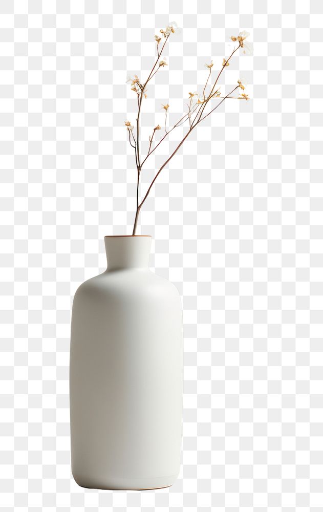 PNG Porcelain bottle flower plant. 
