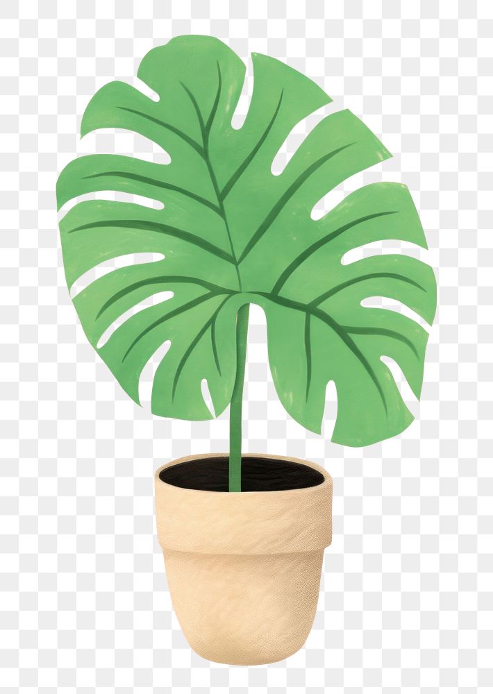 PNG Plant houseplant leaf vase. AI generated Image by rawpixel.