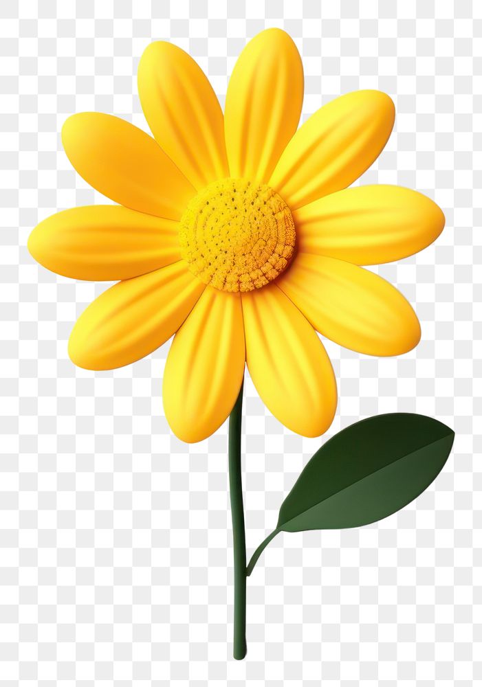 PNG Daisy sunflower yellow petal. AI generated Image by rawpixel.