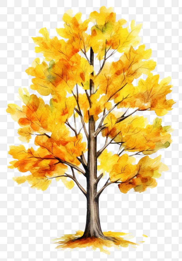 PNG Tree autumn plant maple. AI generated Image by rawpixel.