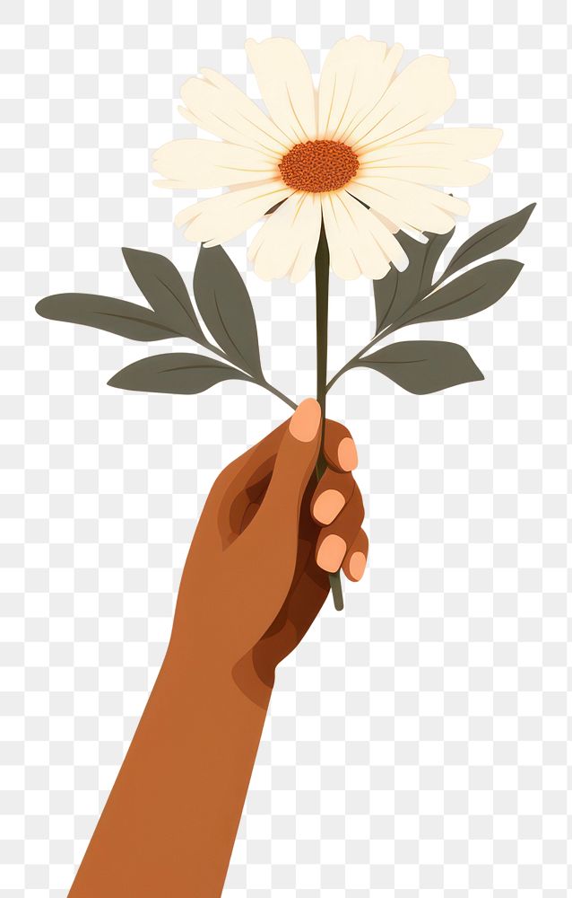 PNG Flower hand holding finger. 