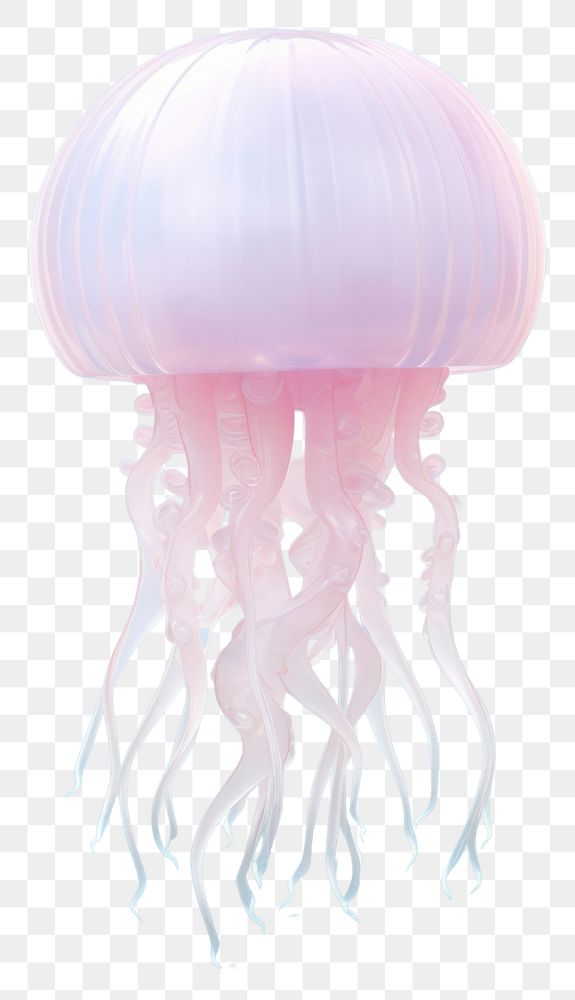 PNG Jellyfish animal invertebrate transparent. AI generated Image by rawpixel.